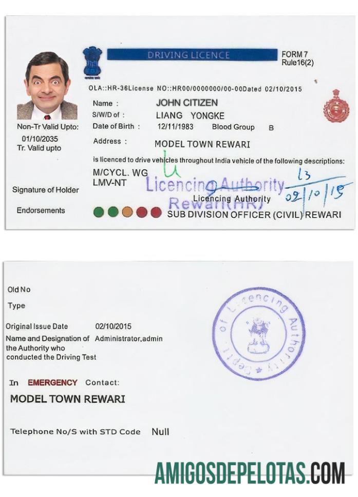 Carta de condução da Índia versão 5 amostra